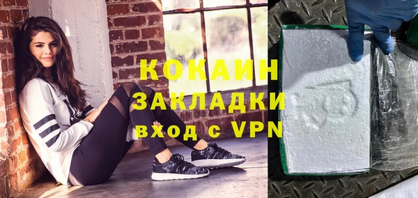 ешки Вяземский