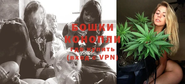 ешки Вяземский