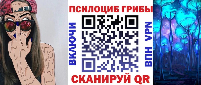 Купить Чехов Псилоцибиновые грибы Cubensis